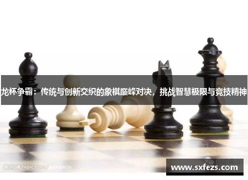 龙杯争霸：传统与创新交织的象棋巅峰对决，挑战智慧极限与竞技精神