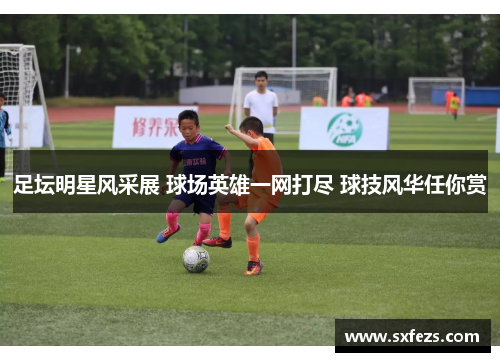足坛明星风采展 球场英雄一网打尽 球技风华任你赏