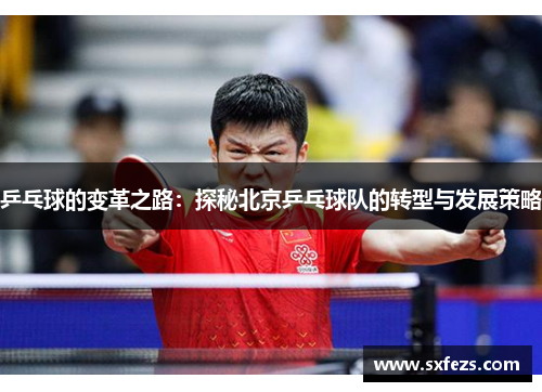 乒乓球的变革之路：探秘北京乒乓球队的转型与发展策略