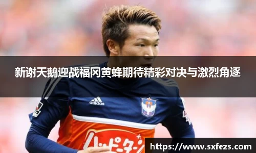 365英国新谢天鹅迎战福冈黄蜂期待精彩对决与激烈角逐